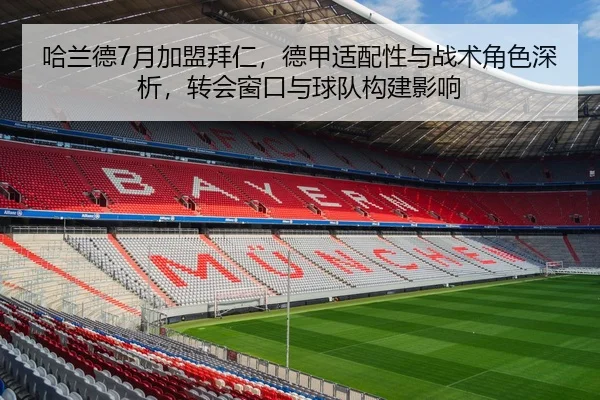 哈兰德7月加盟拜仁，德甲适配性与战术角色深析，转会窗口与球队构建影响